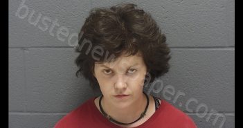 RACHAEL ELLEN MARTIN | 2020-07-22 06:08:00 Montgomery County, Indiana Booking