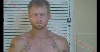 JOSHUA LEWIS | 2020-07-22 16:40:00 Taylor County, Kentucky Booking