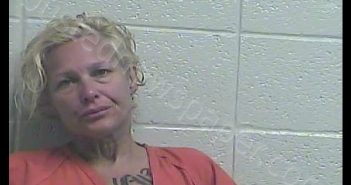 <B>SADIE</B> <B>REBECCA</B> <B>BRUMLEY</B> #, Jessamine County, Kentucky - 2020-07-22 19:25:00