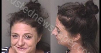 <B>STEELE</B>, <B>CHASITY</B> <B>MICHELLE</B> #, Gaston County, North Carolina - 2020-07-23 01:31:00