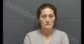 ALICIA JANE SERVIES | 2020-07-24 02:52:00 Montgomery County, Indiana Booking