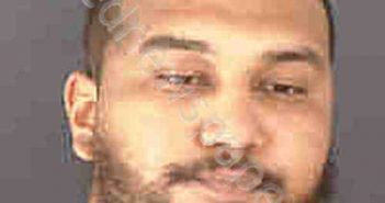 ROJAS, BRANDON OLIVER | 2020-07-25 Sarasota County, Florida Booking