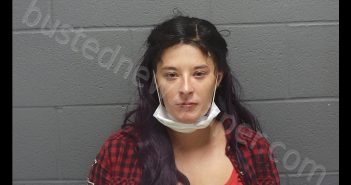 NICOLE K HAYWORTH | 2020-07-25 05:15:00 Montgomery County, Indiana Booking