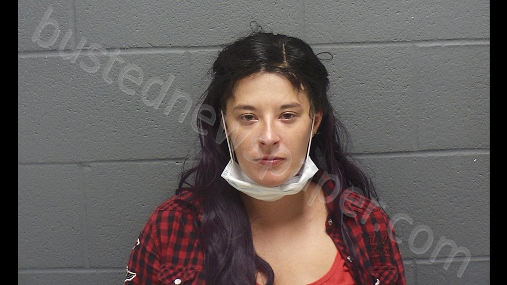 NICOLE K HAYWORTH #, Montgomery County, Indiana - 2020-07-25 05:15:00