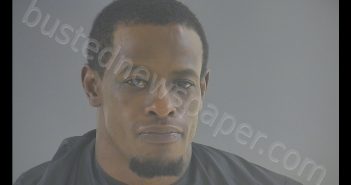 TERRELL ANTWON COLES | 2020-07-25 02:10:00 Bedford County, Virginia Booking