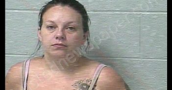 <B>BELINDA</B> <B>KAY</B> <B>JOHNSON</B> #, Marshall County, Tennessee - 2020-07-25 09:50:00