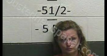 MELISSA MINK | 2020-07-26 20:33:00 Whitley County, Kentucky Booking