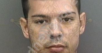 MARTIN,GABRIEL | 2020-07-26 09:45:00 Hillsborough County, Florida Booking