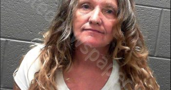 COLLINS, LISA JEANENE | 2020-07-26 01:55:00 Taylor County, West Virginia Booking