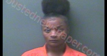 TYRA L GERRON | 2020-07-27 23:43:00 Laporte County, Indiana, La Porte County, Indiana Booking