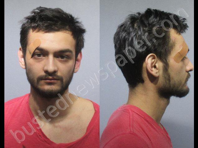 RAZA, ALAN YUSEF #, Kendall County, Illinois - 2020-07-28 20:29:00