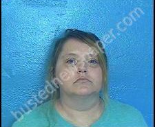 LISA GILBERT | 2020-07-28 16:55:00 Sullivan County, Tennessee Booking