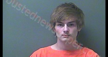 KRISCHAN W DOBROWSKI | 2020-07-28 10:24:00 Laporte County, Indiana, La Porte County, Indiana Booking