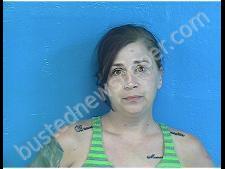 <B>CHRISTINA</B> <B>COLLINS</B> #, Sullivan County, Tennessee - 2020-07-30 20:15:00