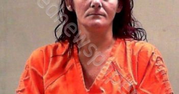 HEIL, SARA DANIELLE | 2020-07-30 20:40:00 Ohio County, West Virginia Booking