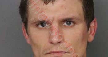 CHRISTOPHER ERIC LIVINGSTON | 2020-07-30 10:08:00 Anderson County, South Carolina Booking
