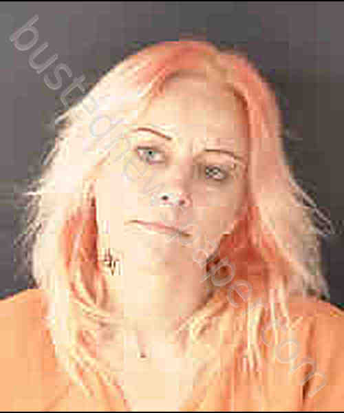 HARNISH, LAURANNE NOELLE CELEST #, Sarasota County, Florida - 2020-07-31
