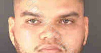 COSTA DEL ROSARIO, ALDO DEL ROSARIO,ALDO | 2020-08-01 Sarasota County, Florida Booking