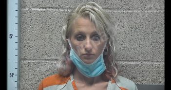 TERICA JEAN MONROE | 2020-08-01 20:41:00 Henderson County, Kentucky Booking