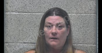 VIRGINA L CARROL | 2020-08-01 02:42:00 Henderson County, Kentucky Booking