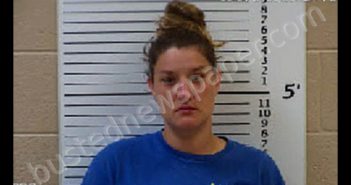 BOKSTROM, CRYSTAL LEEANN | 2020-08-01 20:06:00 Cherokee County, North Carolina Booking