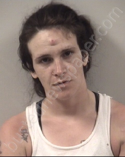 ASHLEY NICHOLE BEASLEY #, Johnston County, North Carolina - 2020-08-01