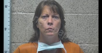 LEAH FRANCES TOLER | 2020-08-01 10:07:00 Henderson County, Kentucky Booking