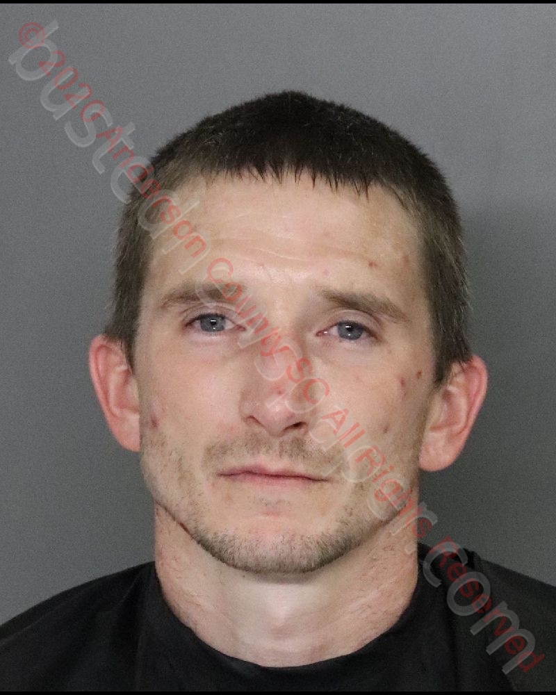 VICTOR LEE MACOMSON #, Anderson County, South Carolina - 2020-08-03 15:31:00