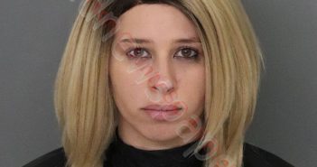KIMBERLY PAGE SHETRONE | 2020-08-04 12:01:00 Anderson County, South Carolina Booking