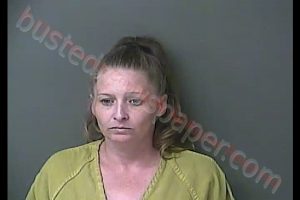 HEATHER RENEE VANMETER | 2020-08-05 19:21:51 Howard County, Indiana Booking