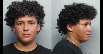 MENDOZA, RENE | 2020-08-06 21:14:00 Miami-Dade County, Florida Booking