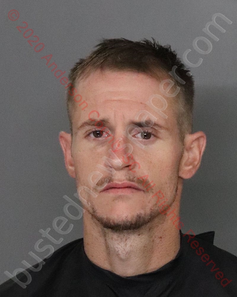 DYLAN LAMAR TILLER #, Anderson County, South Carolina - 2020-08-06 09:42:00