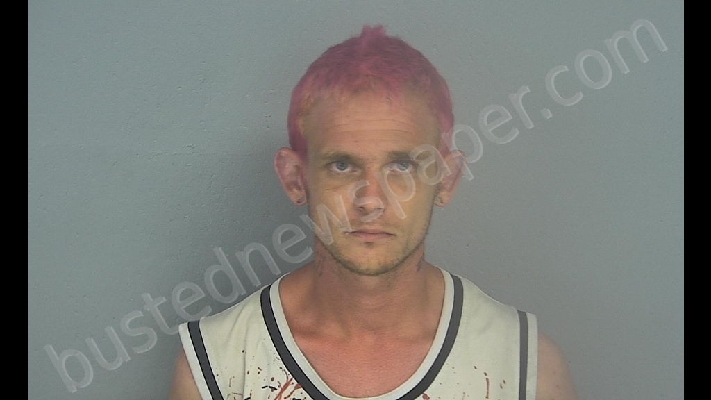 BRIAN DAYLE BRADLEY DEAVERS #, Greene County, Missouri - 2020-08-06 07:47:00