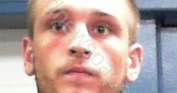 WILLIAMS, HOLDEN | 2020-08-07 20:25:00 Taylor County, West Virginia Booking