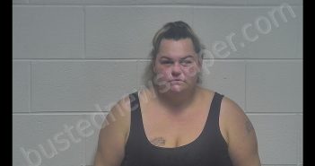 CYNTHIA MARIE MENDOZA | 2020-08-07 02:08:00 Oldham County, Kentucky Booking