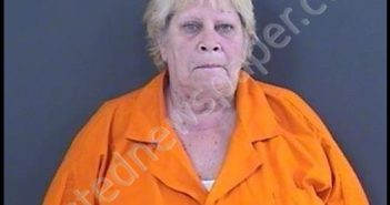 RICHARDS, SHERRY LYNN | 2020-08-07 19:00:00 Roanoke County, Virginia Booking