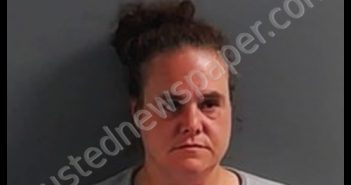 GINGER DAWN GREEN | 2020-08-07 01:59:00 Marion County, Arkansas Booking