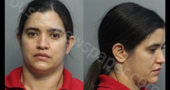 PENA, WENDY YENIA | 2020-08-07 14:24:00 Miami-Dade County, Florida Booking