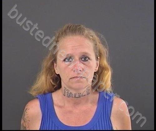 JONES, FELICIA JO #, Roanoke County, Virginia - 2020-08-07 18:35:00