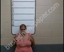 JESSICA HOGUE | 2020-08-08 15:52:00 Morgan County, Tennessee Booking