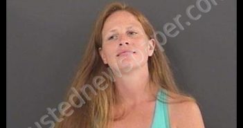 PULLEY, BRITTANY NICOLE | 2020-08-08 04:21:00 Roanoke County, Virginia Booking
