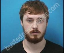 DYLAN MURPHY | 2020-08-08 04:16:00 Williamson County, Tennessee Booking