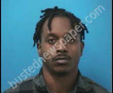 KASHA HAMILTON | 2020-08-08 04:15:00 Williamson County, Tennessee Booking