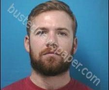 GREY EVILSIZER | 2020-08-08 02:15:00 Williamson County, Tennessee Booking