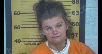 ASHLEY CHRISTINE WESTFALL | 2020-08-09 02:08:00 Ottawa County, Ohio Booking