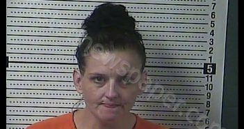 AMANDA NICOLE PADGETT | 2020-08-10 09:29:00 Boyle County, Kentucky Booking