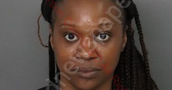 IVEY NICOLE BYRD | 2020-08-10 13:57:00 Anderson County, South Carolina Booking
