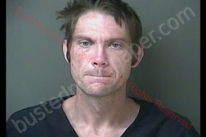 JOSHUA BRYAN BAGWELL | 2020-08-10 17:36:00 Howard County, Indiana Booking