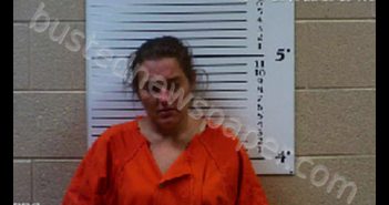 HAMBY, HEATHER LEIGH | 2020-08-10 13:25:00 Cherokee County, North Carolina Booking