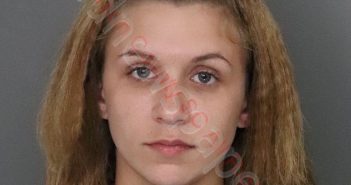 MIRANDA DESERAE ROBINSON | 2020-08-11 11:25:00 Anderson County, South Carolina Booking